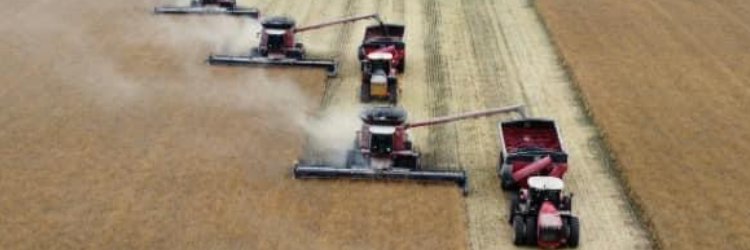 Kris Babbings banner