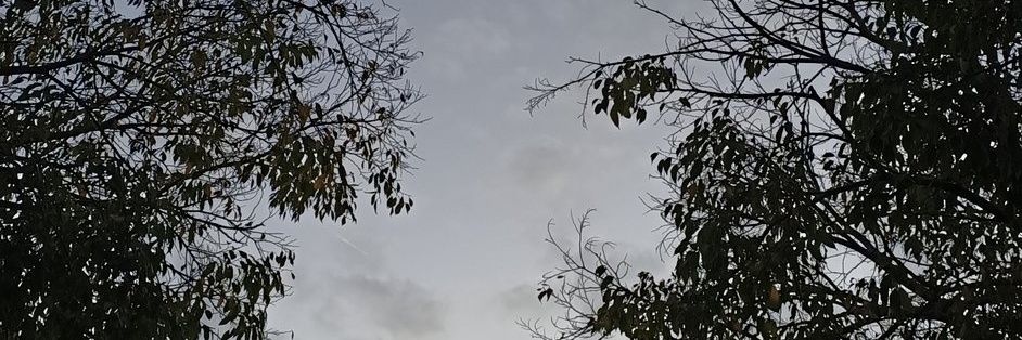nofuen's profile banner image