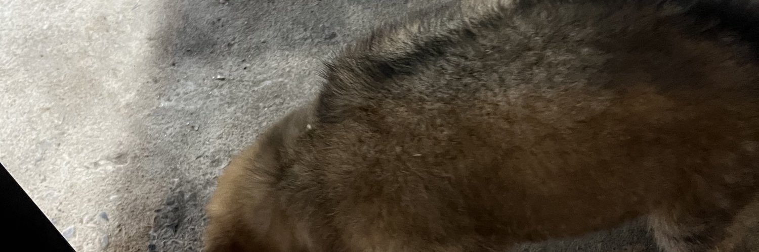 andy banner