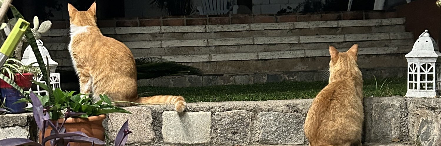 cccivarolo's profile banner image