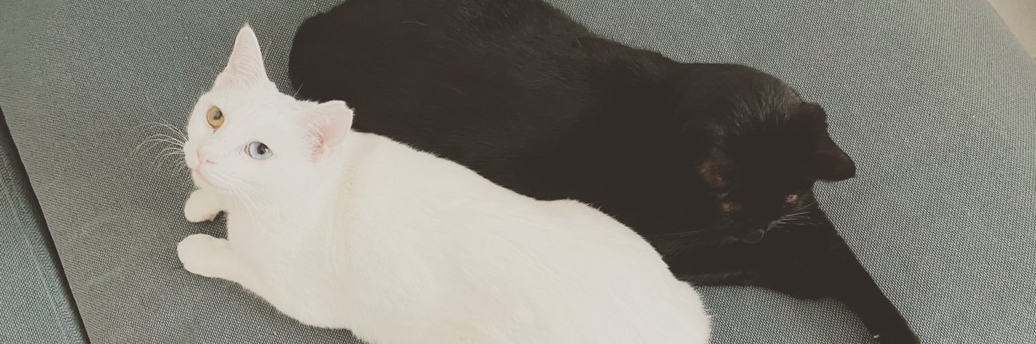 caorym's profile banner image