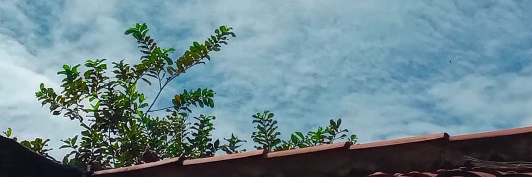 _ThalesMonteiro's profile banner image