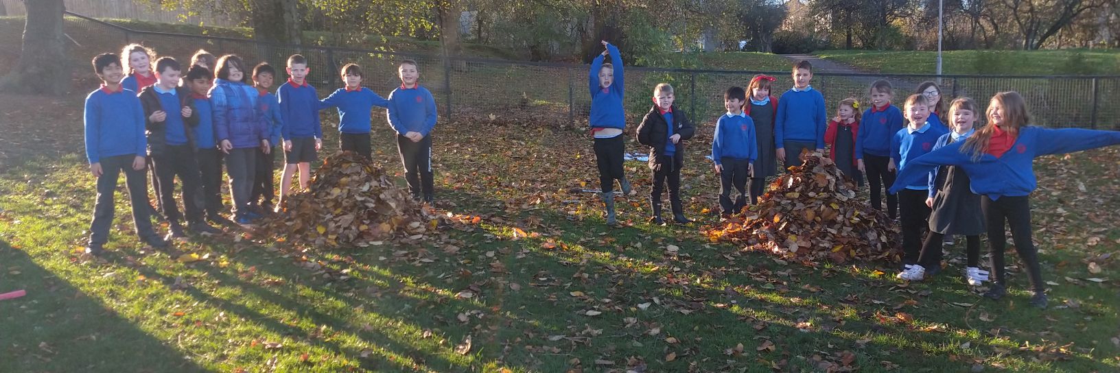 Ms Stewart Forehill banner