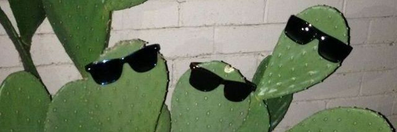 Kactos banner