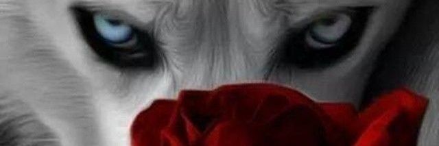 Beatrizortizespinosa banner