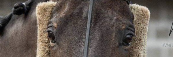 BarbaraGuenet Profile Banner