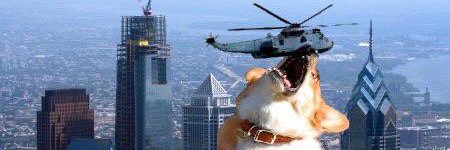 lukewindley's profile banner image