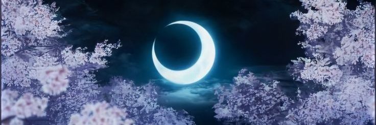 _blacked254's profile banner image
