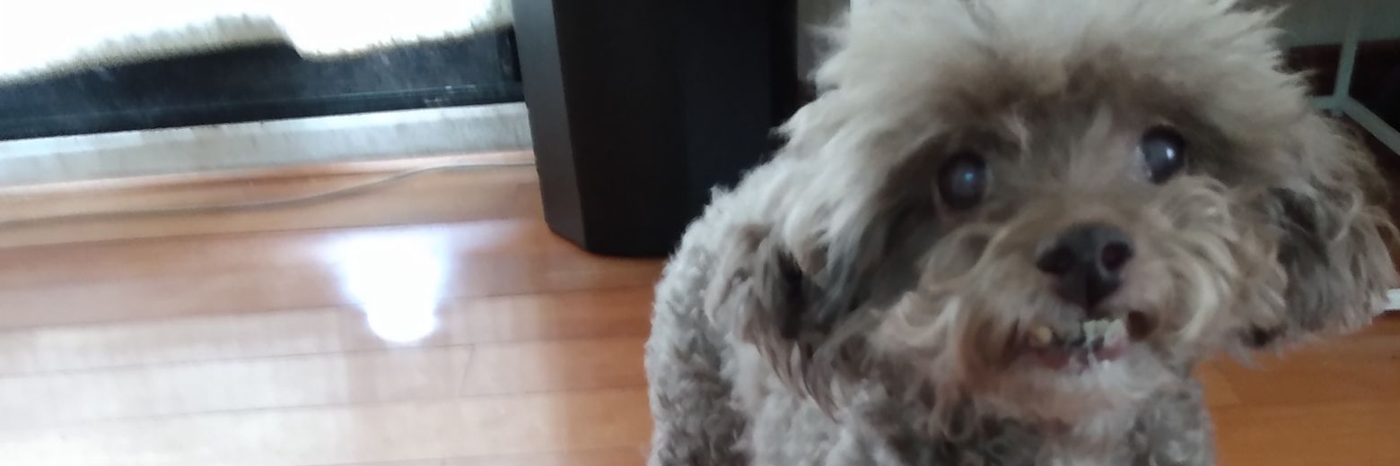 🇦🇷🇺🇦💜María💜🌊 banner