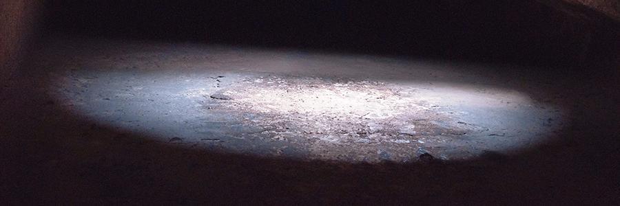 alejandrad's profile banner image