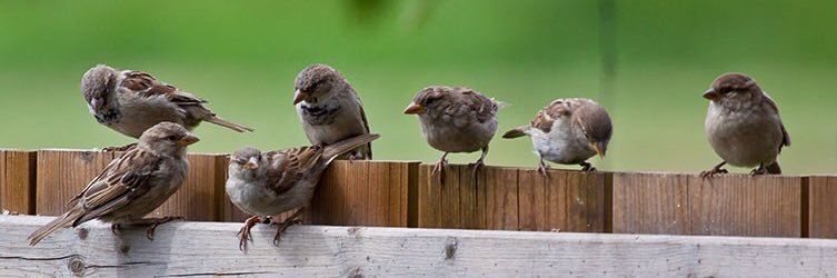 gerri jacobs 🐿️🔻🔻🔻 ☭ 🇷🇺🇵🇸🇾🇪🇱🇧🇮🇷🇮🇶's banner