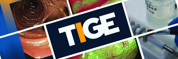 AGA_TIGE Profile Banner