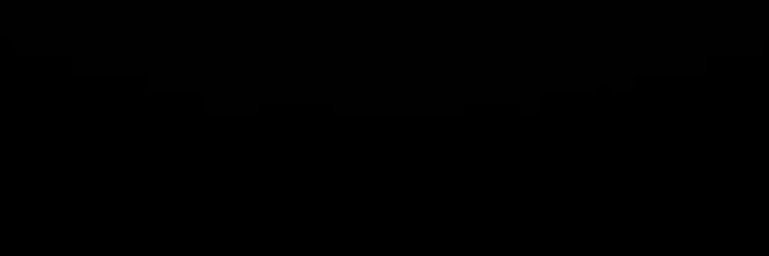 flezi banner