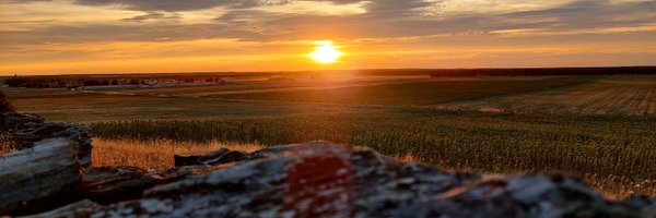 ALMADRA14 Profile Banner