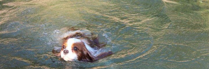 I just 😢 can’t banner