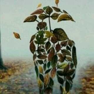 windi prabowo. banner