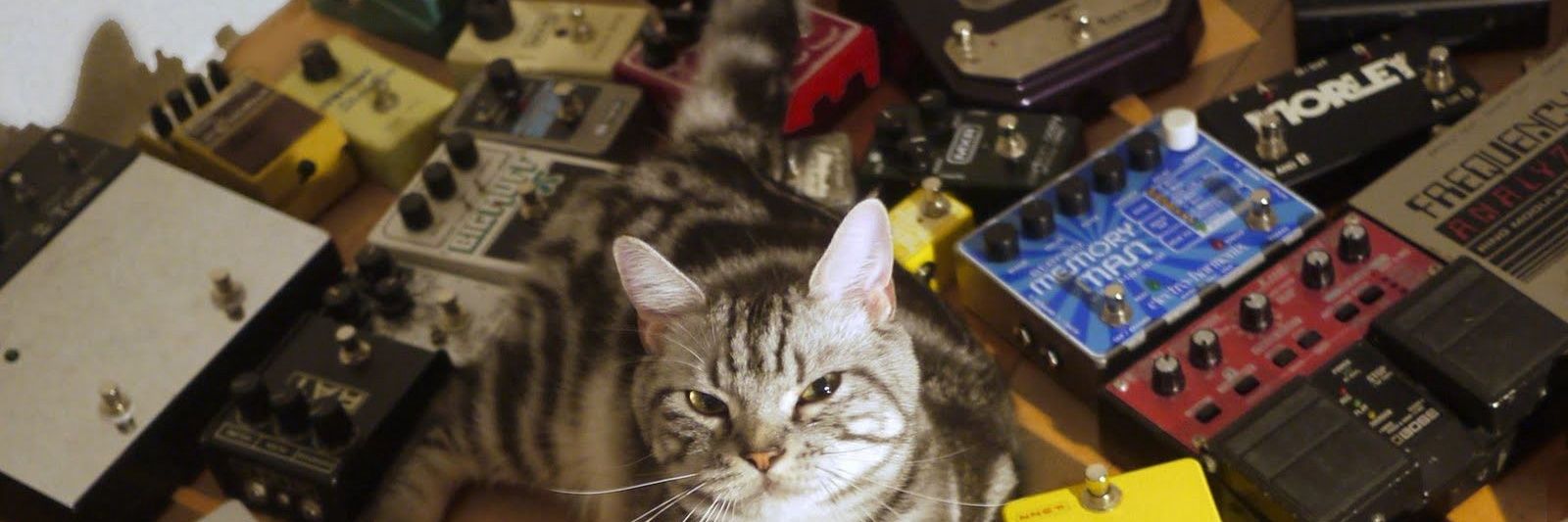 🅂🄾🄿 /// banner