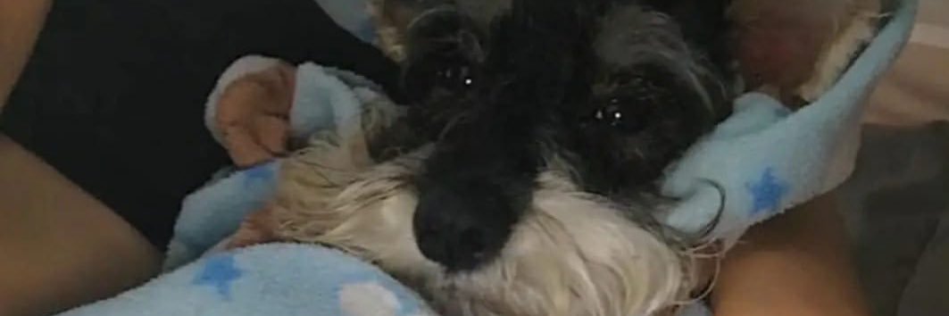 mglpem's profile banner image