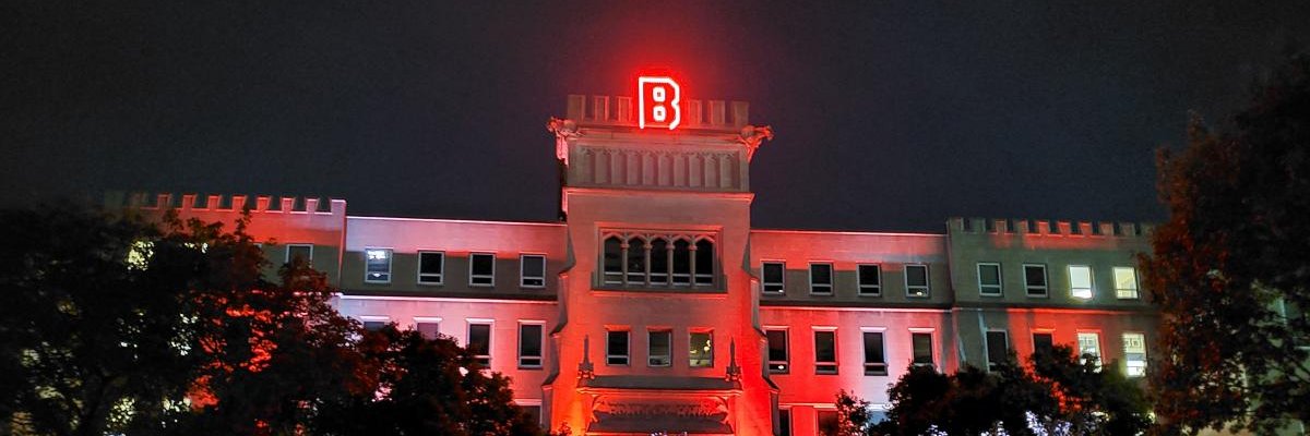 Braves Vision banner