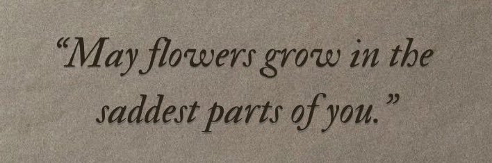 Ms Mulaudzi☘️ banner