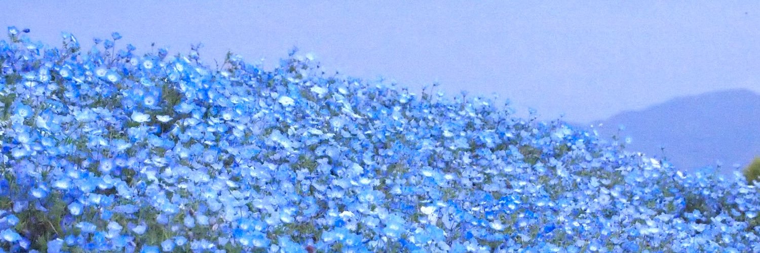 みつ@プロフ必読 banner