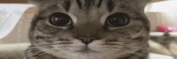 aleenswagg Profile Banner