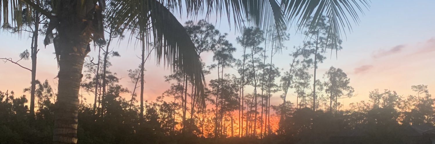 MatthewJayEs's profile banner image
