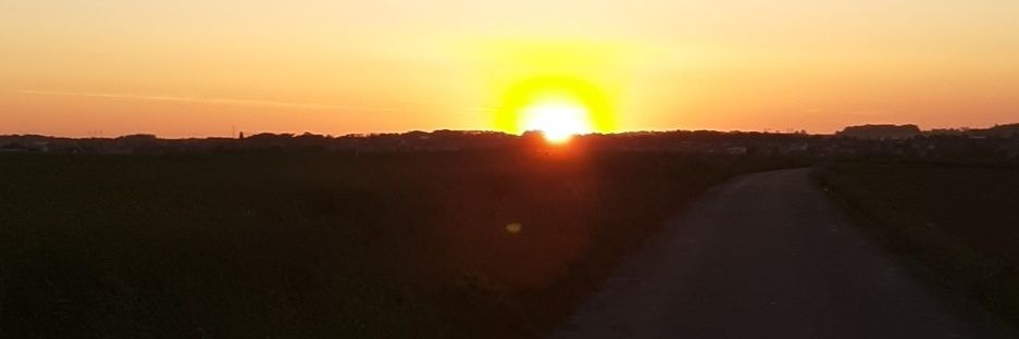 Bossé Maxence banner