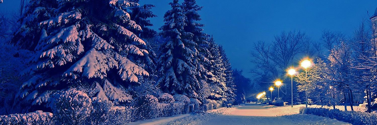 Snow banner