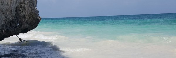 gina_chiles Profile Banner