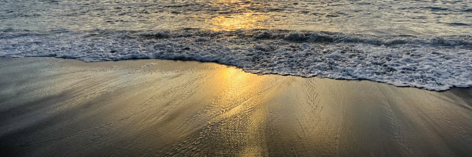 Martin LeBlanc banner