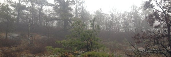 MistersHomeRoom Profile Banner