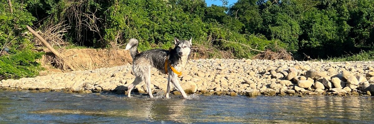 MAICAOLIBRECO's profile banner image