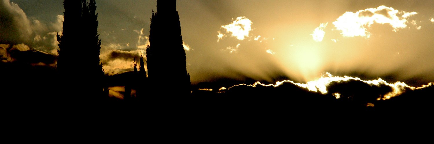 herreraeduardo's profile banner image