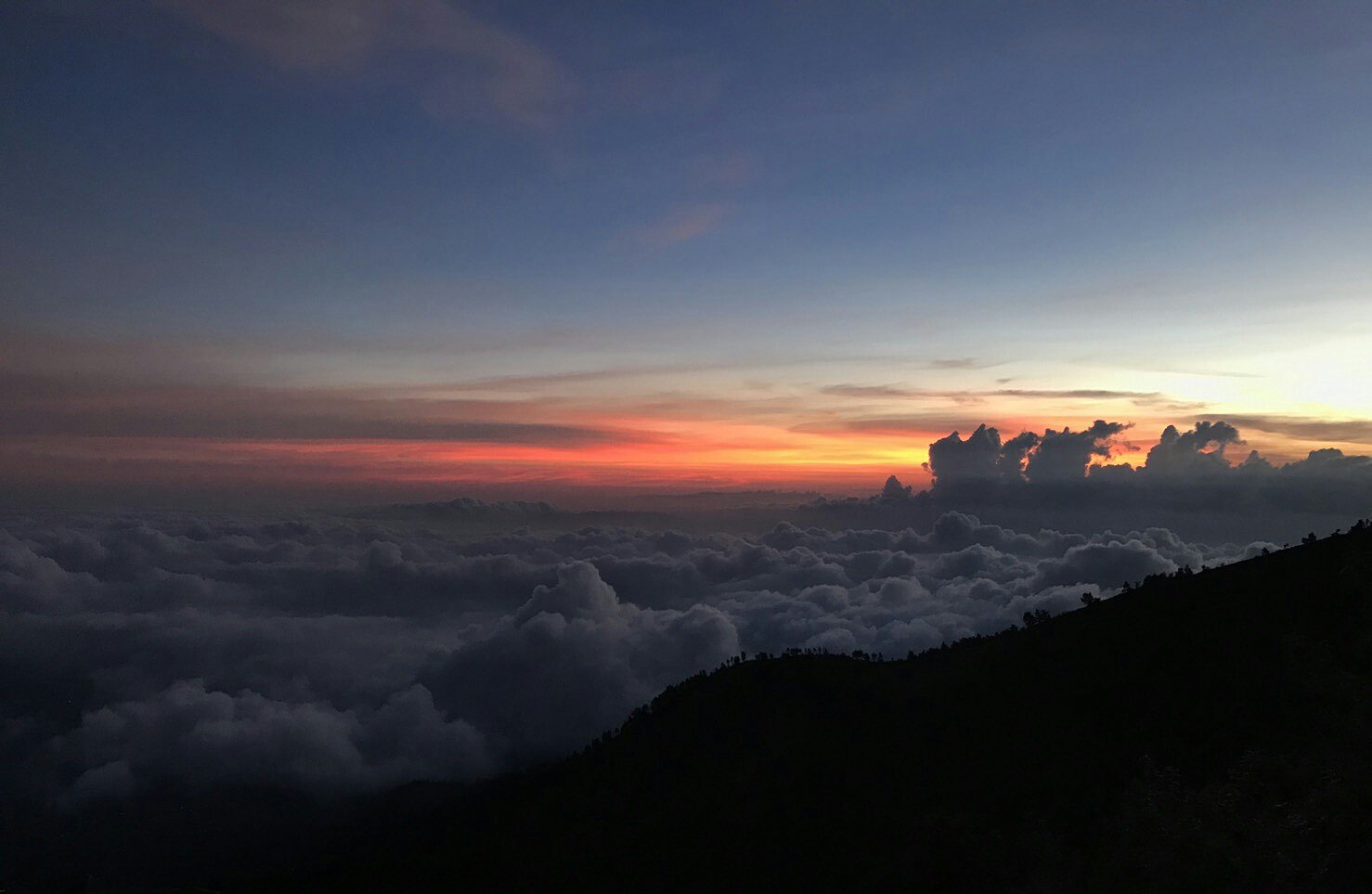 irlyanthami's profile banner image