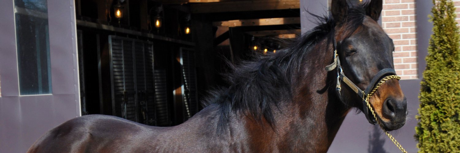 狩蘆(ｶﾘｮｰｼｬ)@🐴写真垢's banner