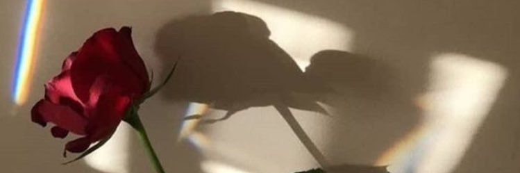 bellaaysaf13's profile banner image