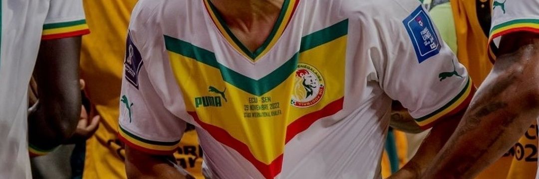 boucksls🇸🇳 banner