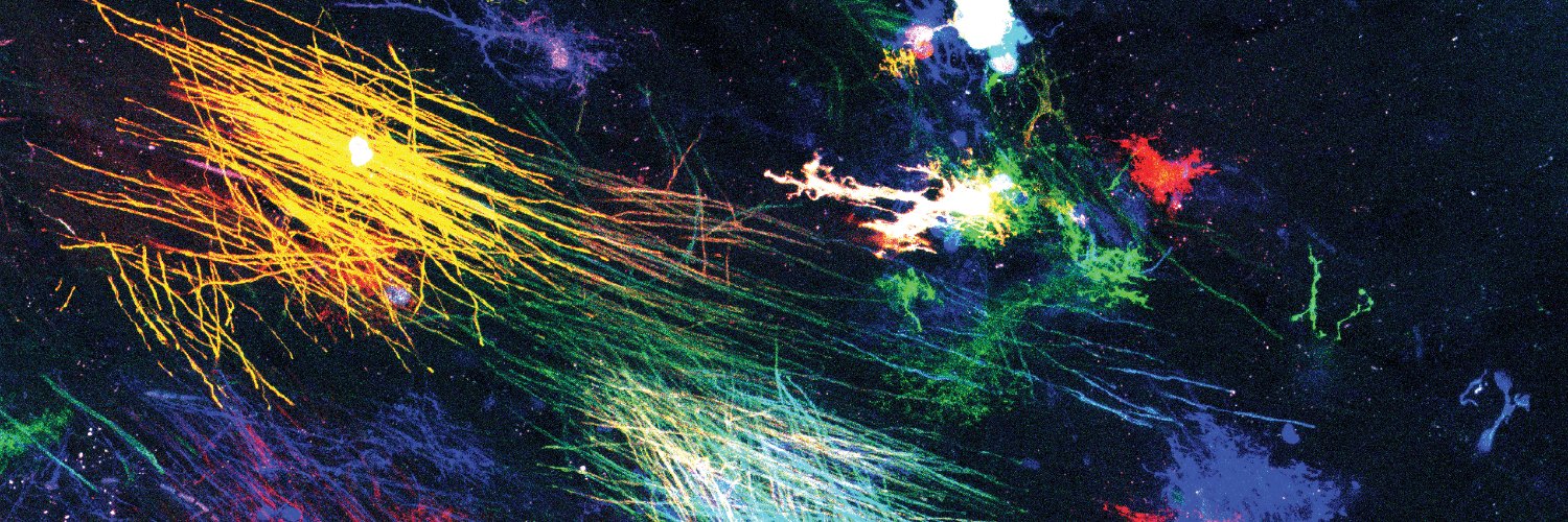 CU DevBio PostDocs banner