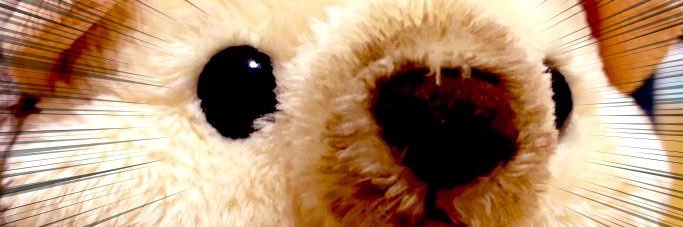 なみあと🦔原稿中 banner