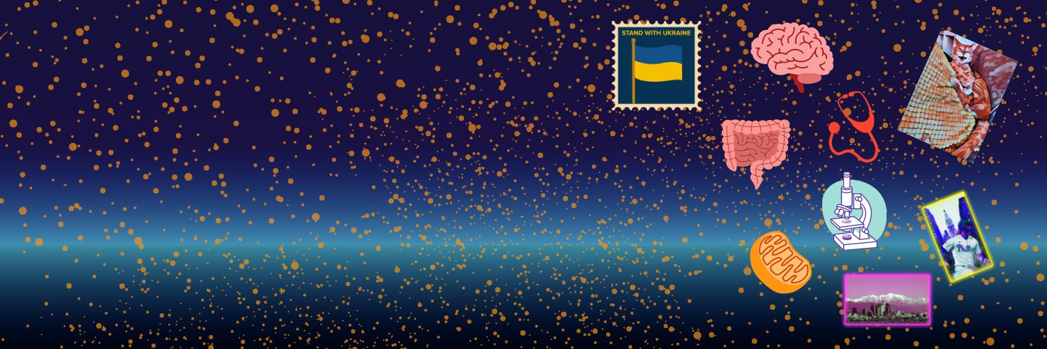 Beth Videlock, MD PhD banner