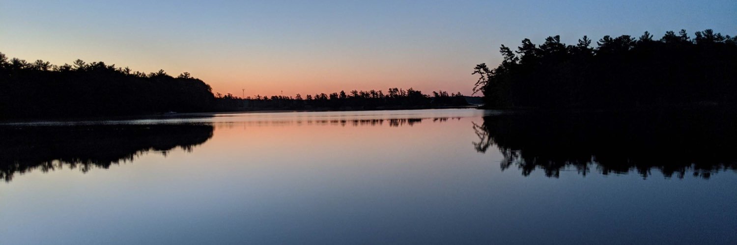 TraceyBasso's profile banner image