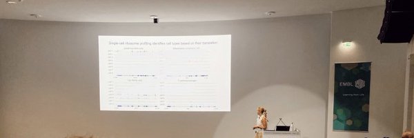 clarasdure Profile Banner