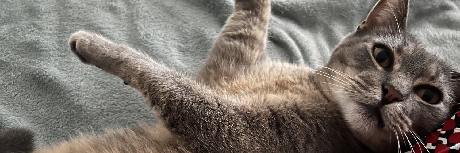 doctoress gang banner