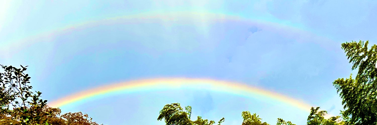 DA_Alice's profile banner image