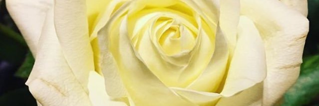 AmandaCWriter's profile banner image