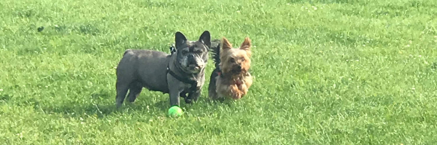 Kerryswanson01's profile banner image