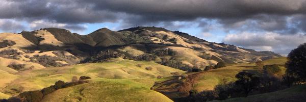 twitters Profile Banner