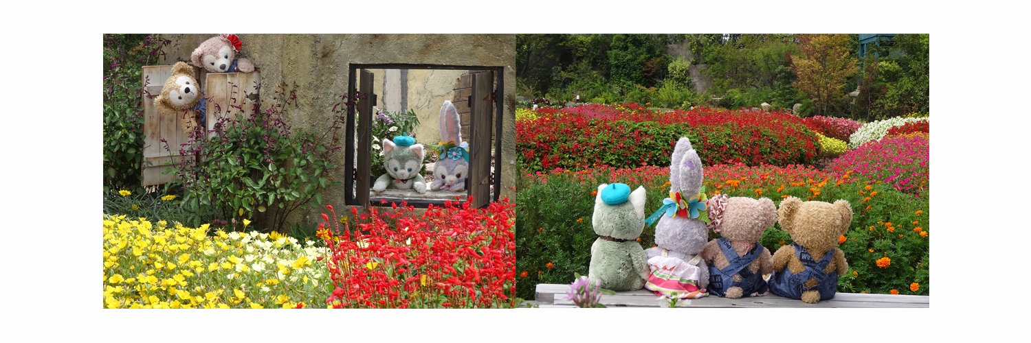 runrunmiffy's profile banner image