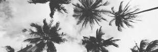pyrotechnicsdj's profile banner image